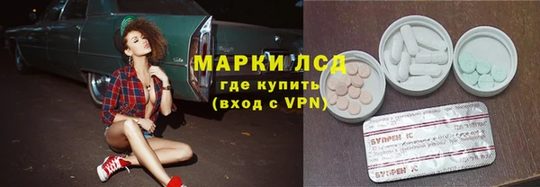 a pvp Бородино