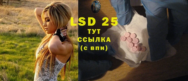 a pvp Бородино