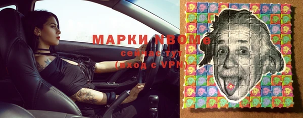 a pvp Бородино