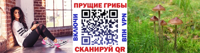 Галлюциногенные грибы прущие грибы купить сайты Называевск